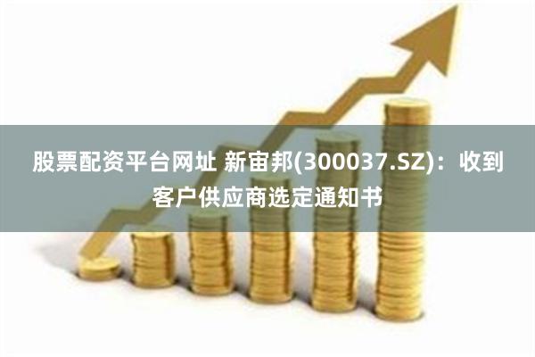 股票配资平台网址 新宙邦(300037.SZ)：收到客户供应商选定通知书