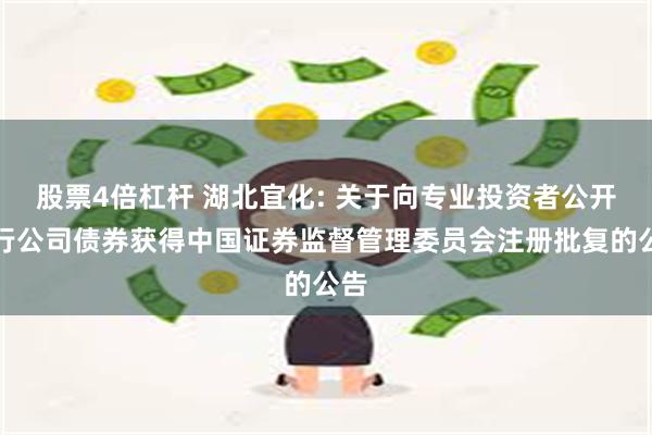 股票4倍杠杆 湖北宜化: 关于向专业投资者公开发行公司债券获得中国证券监督管理委员会注册批复的公告