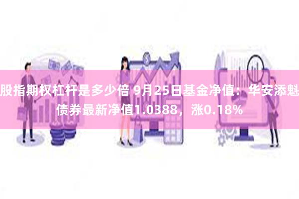 股指期权杠杆是多少倍 9月25日基金净值：华安添魁债券最新净值1.0388，涨0.18%