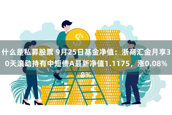 什么是私募股票 9月25日基金净值：浙商汇金月享30天滚动持有中短债A最新净值1.1175，涨0.08%