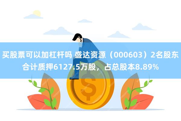 买股票可以加杠杆吗 盛达资源（000603）2名股东合计质押6127.5万股，占总股本8.89%