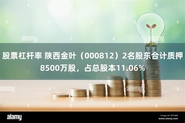 股票杠杆率 陕西金叶（000812）2名股东合计质押8500万股，占总股本11.06%