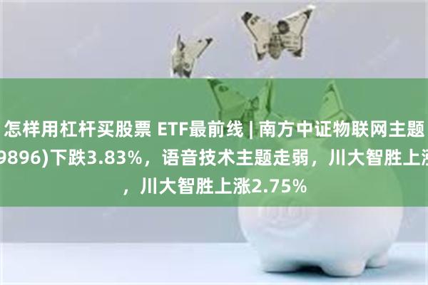 怎样用杠杆买股票 ETF最前线 | 南方中证物联网主题ETF(159896)下跌3.83%，语音技术主题走弱，川大智胜上涨2.75%