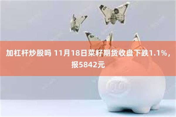 加杠杆炒股吗 11月18日菜籽期货收盘下跌1.1%，报5842元