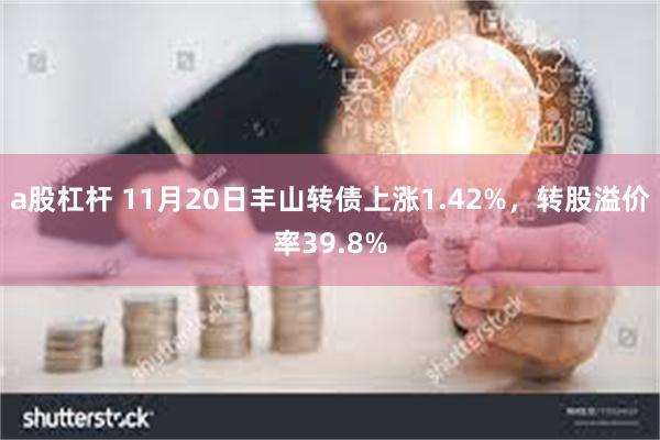 a股杠杆 11月20日丰山转债上涨1.42%，转股溢价率39.8%