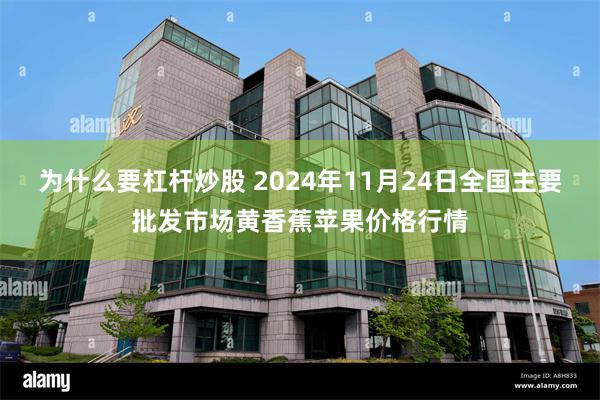 为什么要杠杆炒股 2024年11月24日全国主要批发市场黄香蕉苹果价格行情