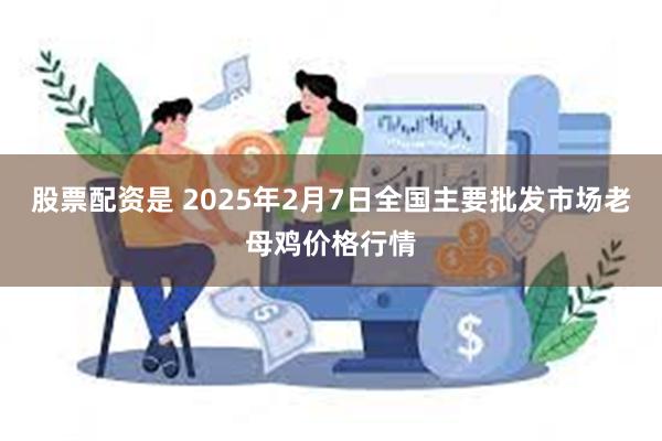 股票配资是 2025年2月7日全国主要批发市场老母鸡价格行情