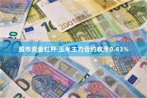 股市资金杠杆 玉米主力合约收涨0.43%